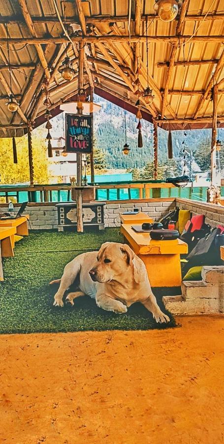 The Culture Nation Hostel Manali Экстерьер фото